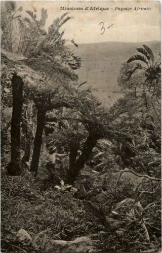 Missiond Afrique - Paysage Africain