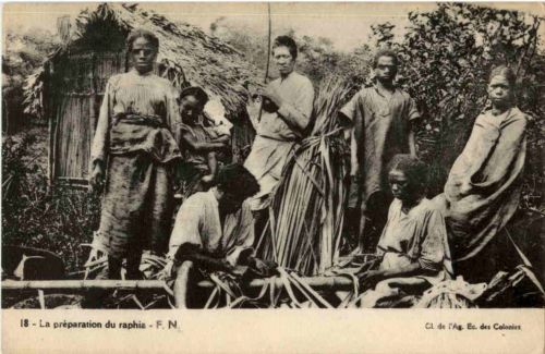La preparation du raphia