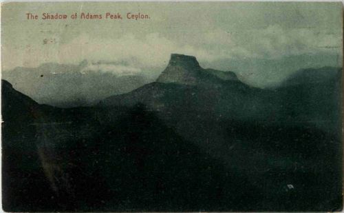 Cylon - The shadow of Adams Park