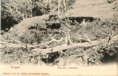 Prigen - Weg naar t Diana Bad