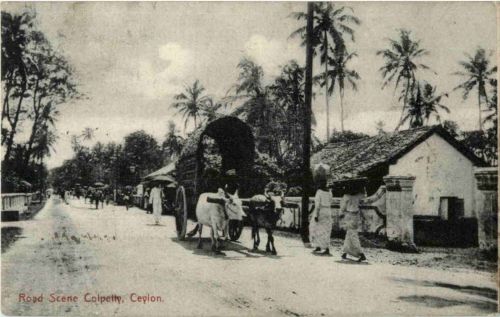 Ceylon - Road scene Colpetty