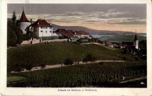 Erlach