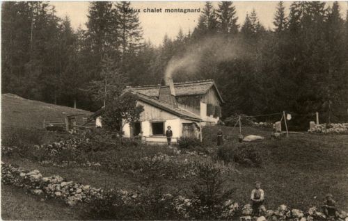 Vieux chalet montagnard