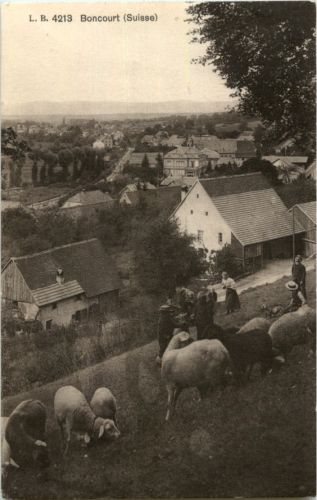 Boncourt mit schafen