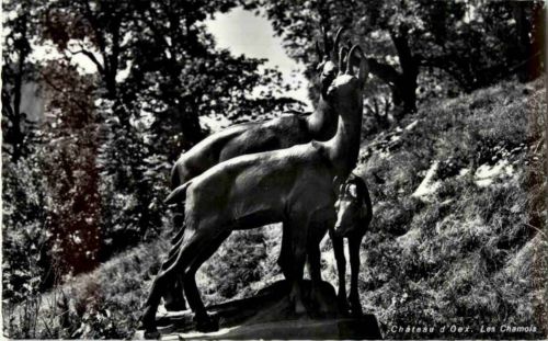 Chateau d Oex - Les Chamois