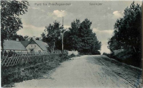 Parti fra Praestegaarden