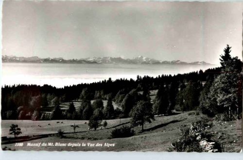 Massif du Mt. Blanc depuis la Vue des Alpes