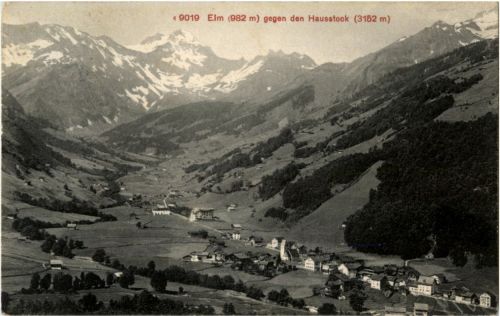 Elm
