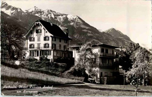 Sachseln - Hotel Seehof