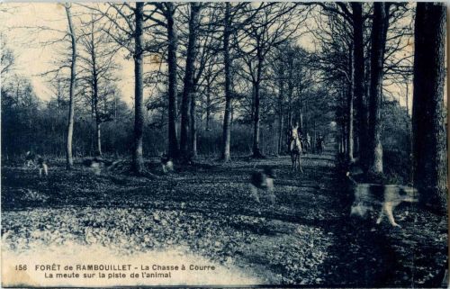Rambouillet
