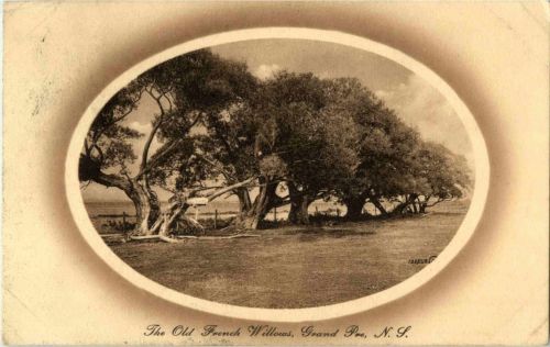 Grand Pre