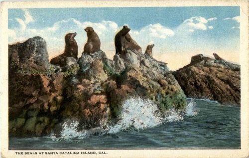 Santa Catalina Island