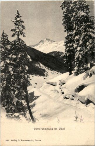 Winterstimmung im Wald