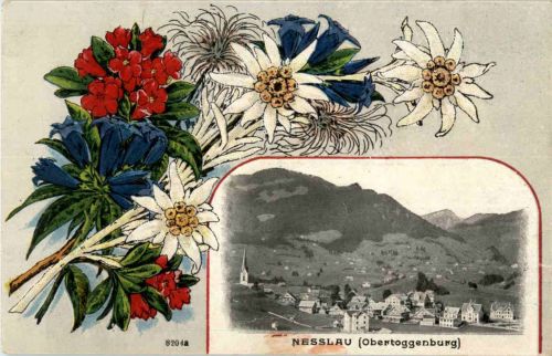 Nesslau Prägekarte