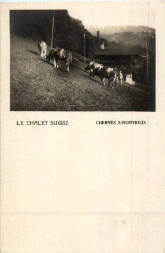 Chernex s Montreux - Le chalet Suisse
