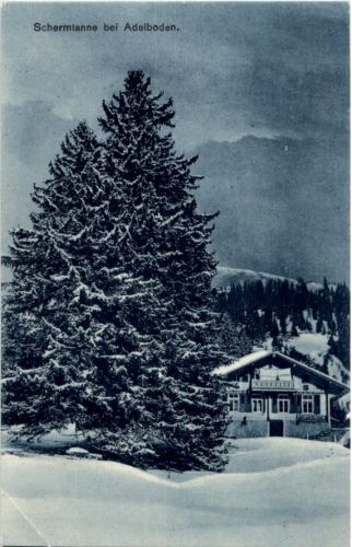 Schermatte bei Adelboden