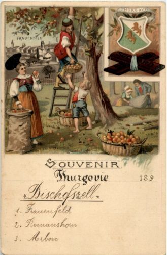 Souvenir Thurgovie - Frauenfeld Litho