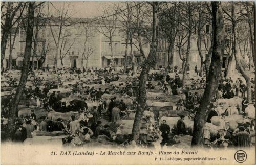 Dax - Le Marche aux Boeufs