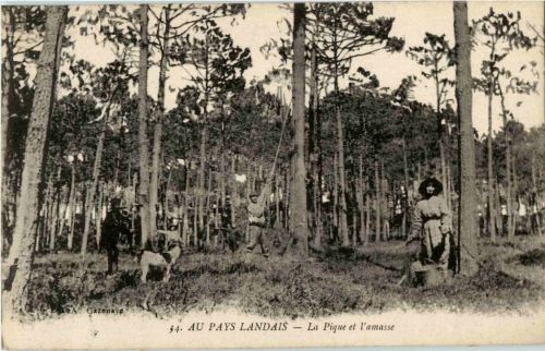 Au Pays Landais - La Pique et l amasse