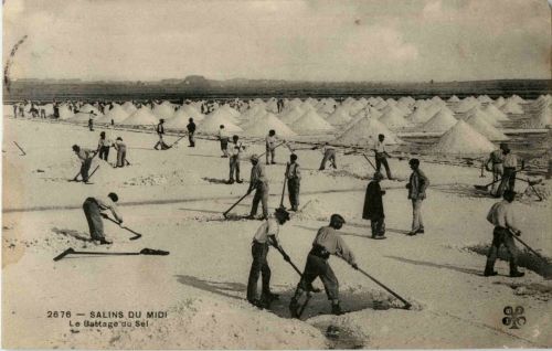 Salins du Midi