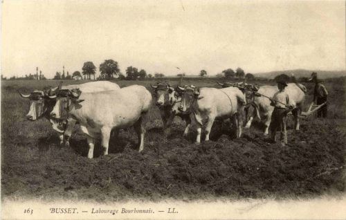 Busset - Labourage Bourbonnais