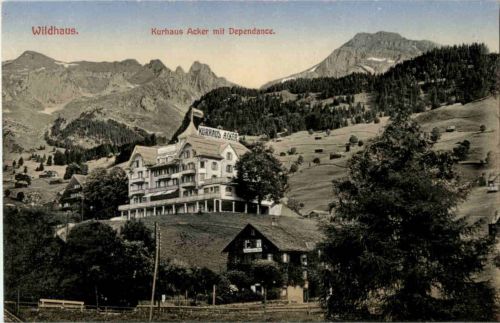 Wildhaus Kurhaus Anker