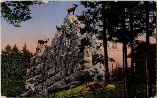 St. Gallen - Steinbockfelsen