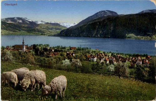 Oberaegeri mit Schafen