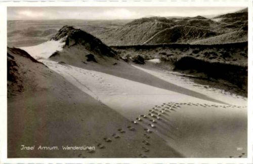 Amrum Wanderdünen