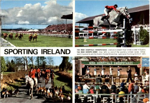Dublin - Sporting Ireland Horse