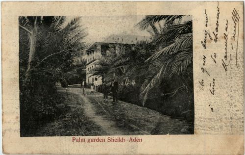 Aden - Palm garden Sheikh