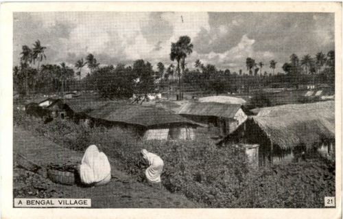 A Bengal village
