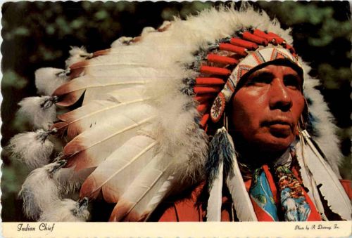 Indian Chief