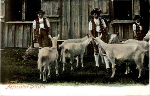 Appenzeller Gaisshirt - Sonderstempel Rückseite- Goat Ziege