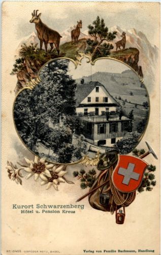 Schwarzenberg . Hotel Kreux - Litho Prägekarte