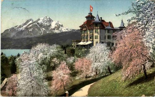 Weggis - Hotel Alpenblick