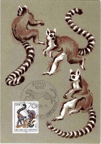 DDR Affen 70 Pfennig - Maximum Karte