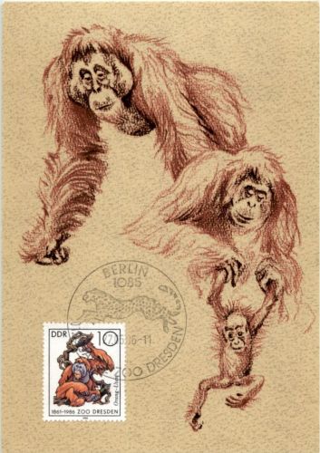 DDR Affen 10 Pfennig Maximum Karte