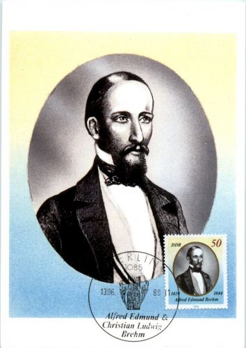 DDR - Maximum card