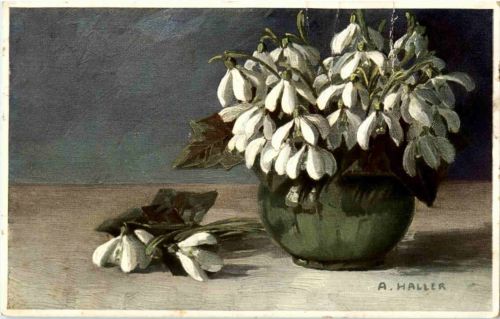 Künstlerkarte - A Haller