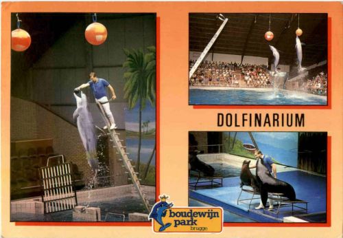 Brugge - Dolfinarium