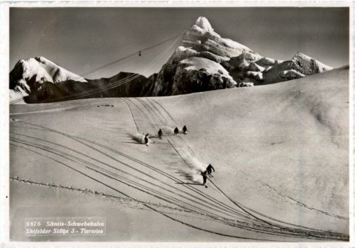 Säntis - Skifelder Stütze 3 - Tierwies