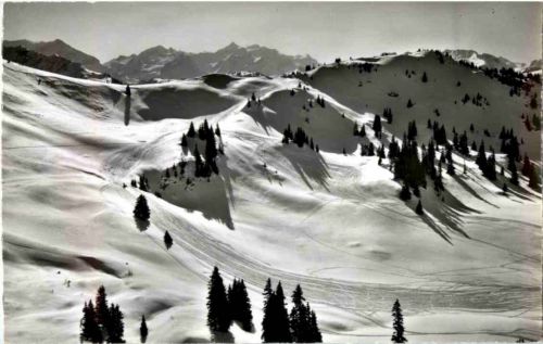 Saanenmöser - Hornberg - Hühnerspielabfahrt