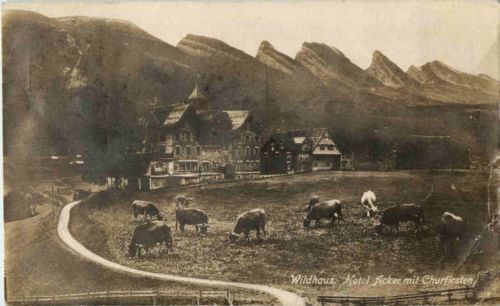 Wildhaus - Hotel Acker
