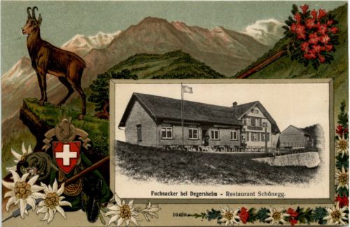 Fuchsacker bei Degersheim - Litho