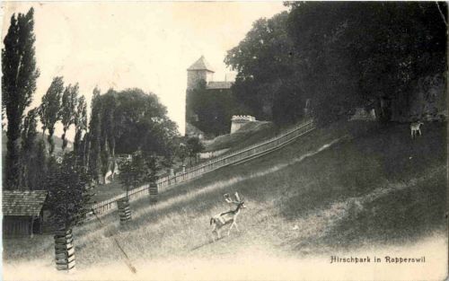 Hirschpark in Rapperswil