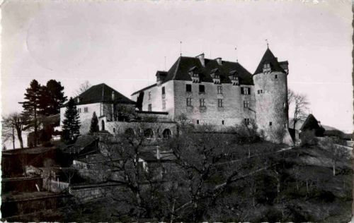 Chateau de Gruyeres