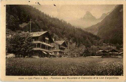 Les Plans s Bex