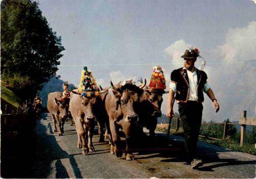 Alpabfahrt im St. Galler Oberland