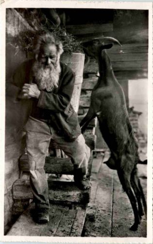Ziegen - Bündner Bergbauer